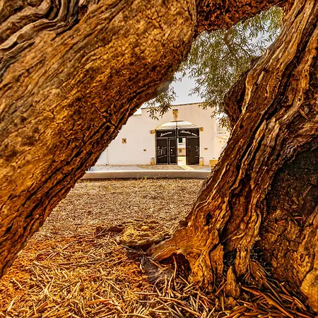 Masseria Abadia Uno 招待所