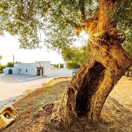 Masseria Abadia Uno 招待所 3*