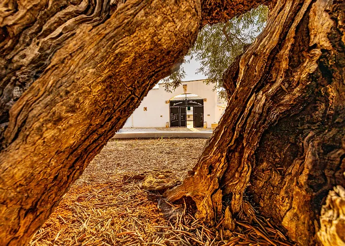Masseria Abadia Uno Guest house