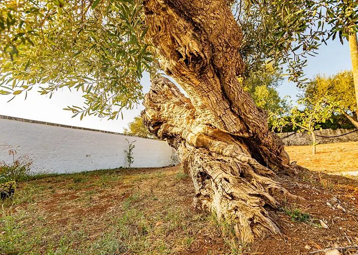 Masseria Abadia Uno 3*