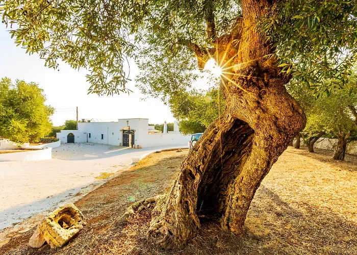 Masseria Abadia Uno Guest house 3*