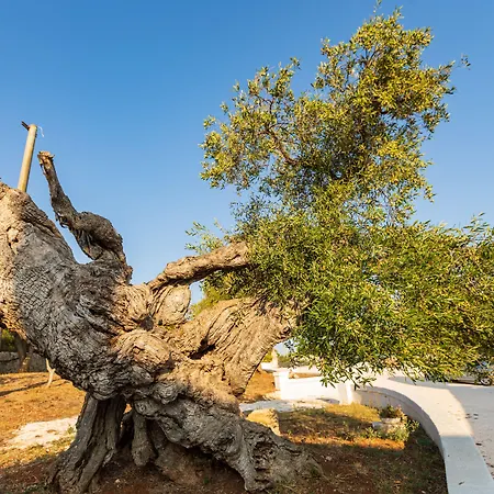 Gasthuis Masseria Abadia Uno 3*