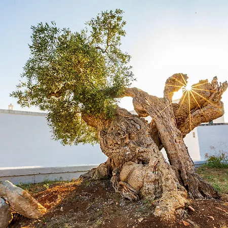 Masseria Abadia Uno